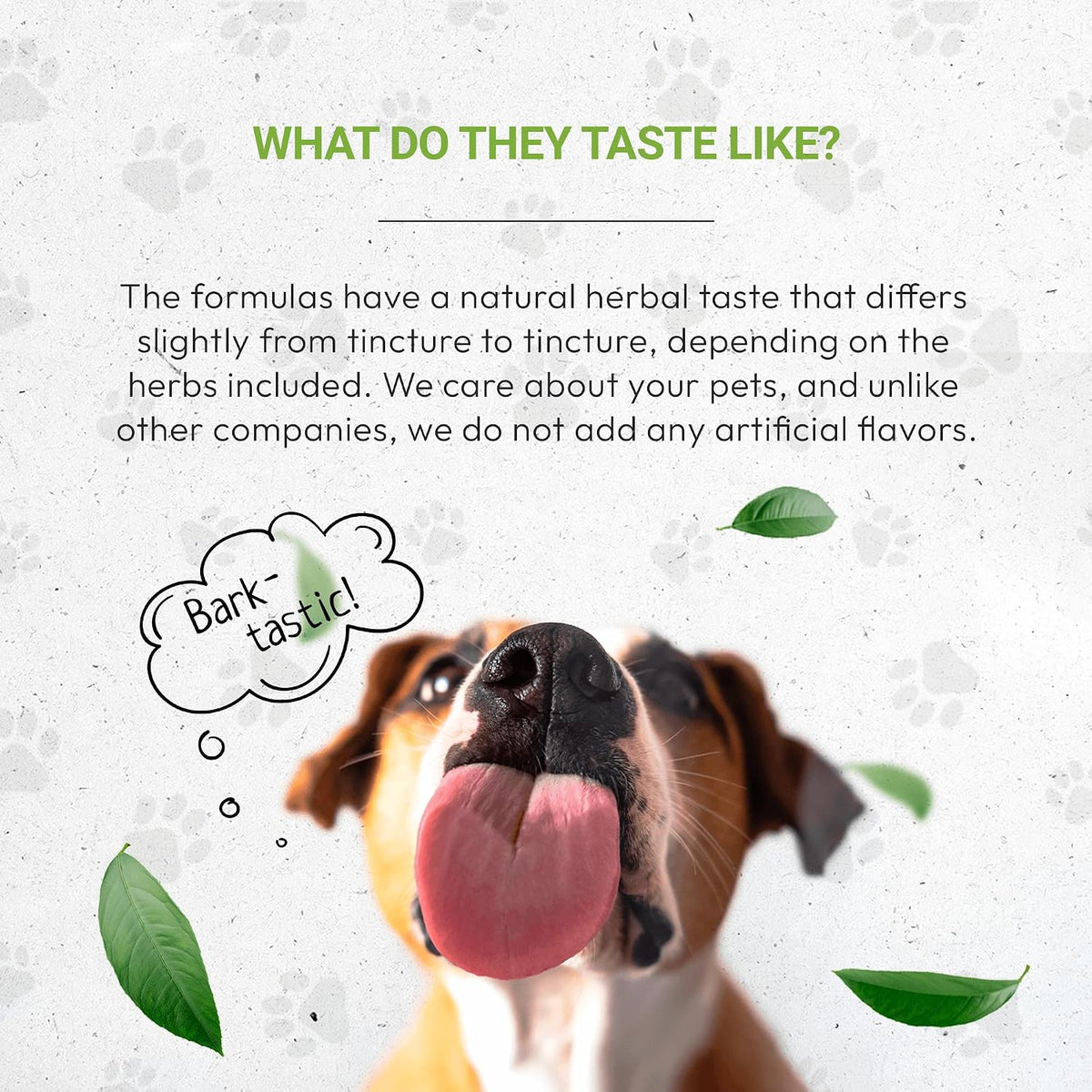 Wolf's Anxiety Natural Herbal Food Supplement for Dogs – Alcohol-Free Extract with Chamomile, Lemon Balm, Lavender, Linden, Fennel – 60 ml - görsel 4