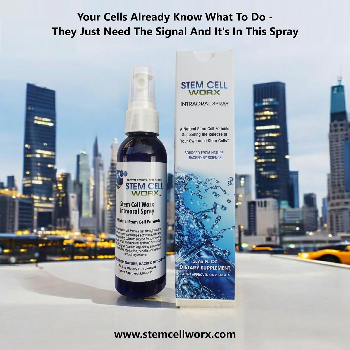 Stem Cell Worx – Cellular Support Spray - görsel 5