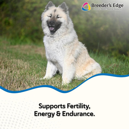 Breeder's Edge Oxy Stud Meat Chews for Male Dogs and Cats – with Essential Vitamins, Minerals, and Natural Herbs for Reproductive Health, 30 chews