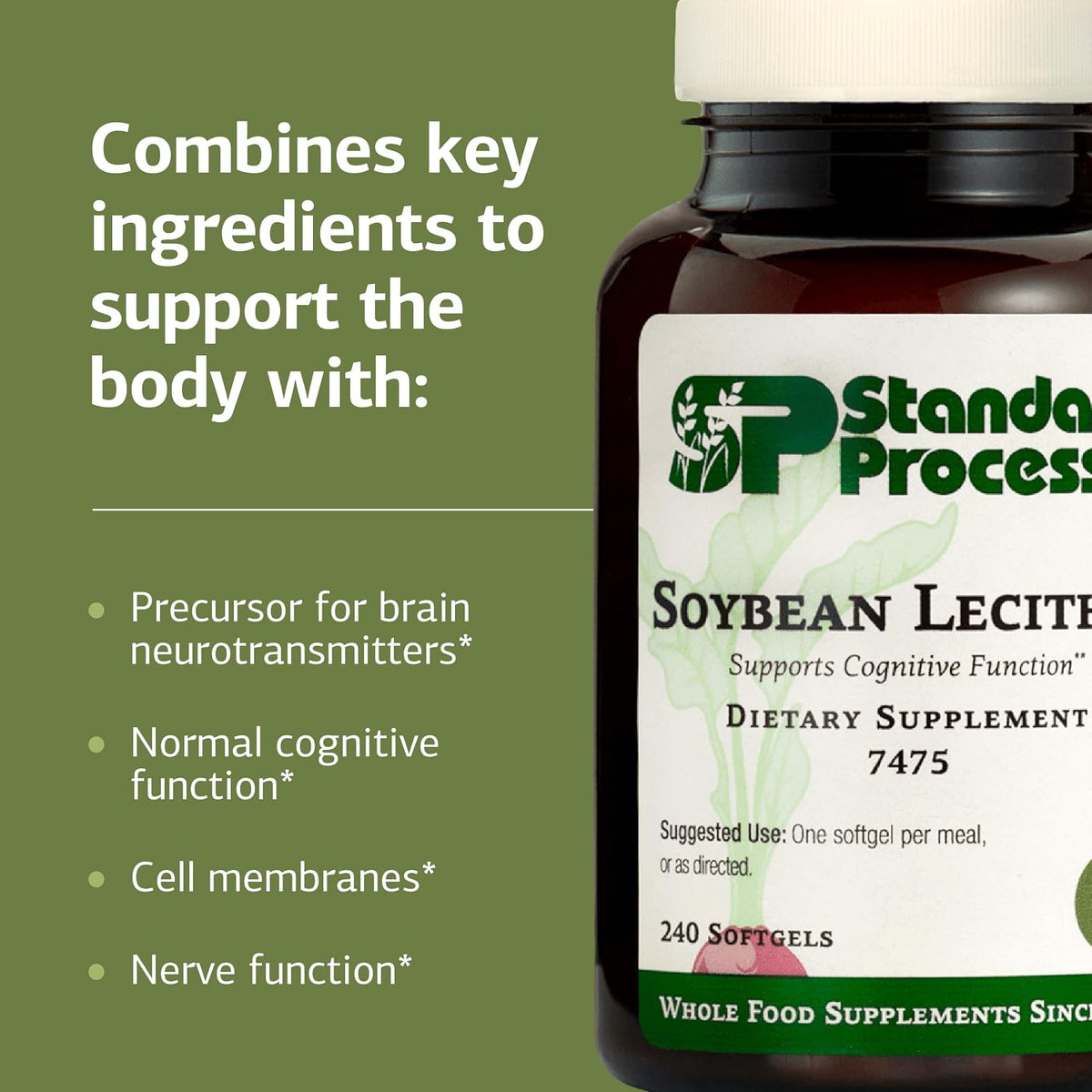 Standard Process Soya Lecithin - Cognitive & Liver Health Support - 240 Softgels - görsel 4