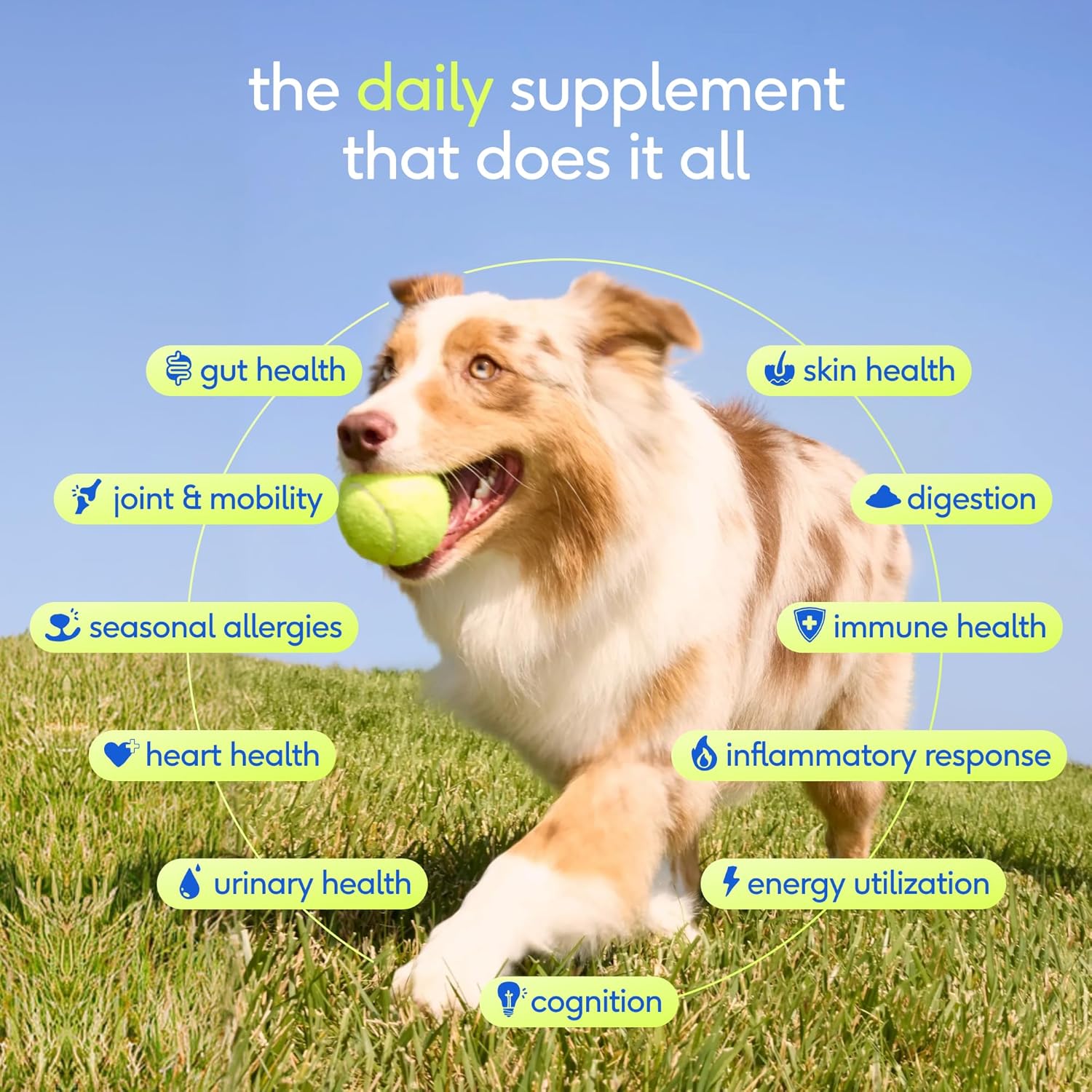 Native Pet The Daily Dog Vitamins & Supplements - 11-in-1 Multivitamin Powder for Dogs - görsel 2