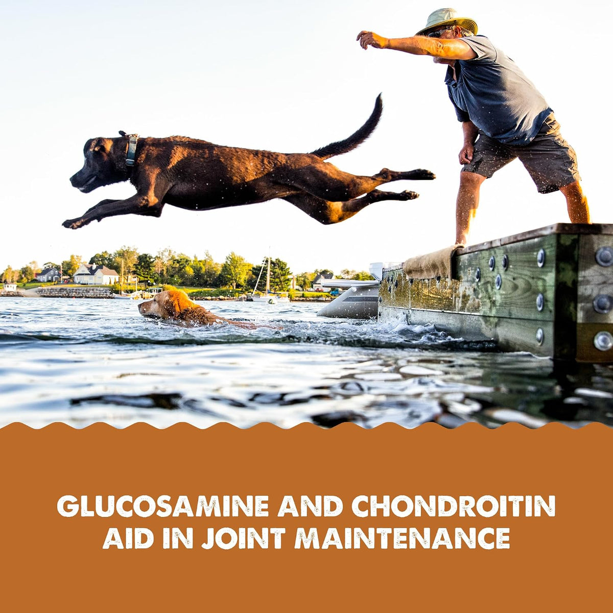 Grizzly Pet Products Joint Aid Liquid – Hip and Joint Health Food Supplement for Dogs and Cats, 473ml (16 fl oz) - görsel 4