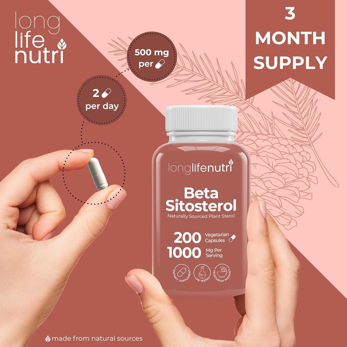 LongLifeNutri Beta Sitosterol 1000mg - Phytosterols Food Supplement, 200 Vegetarian Capsules, Plant Sterols for Daily Wellbeing & Dietary Balance, 100-Day Supply, GMP Certified, Made in the USA - görsel 5