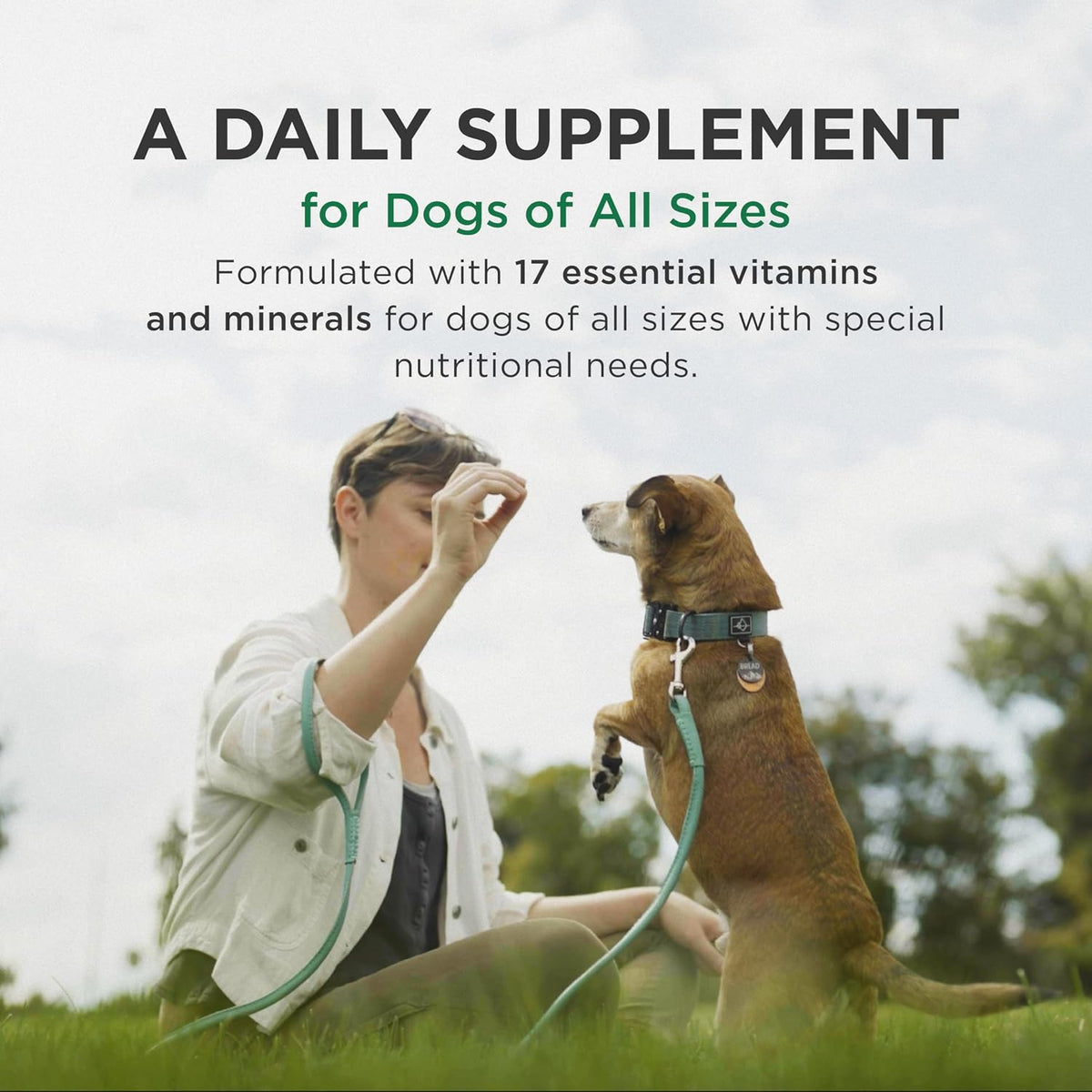 Pet-Tabs Multivitamin and Mineral Supplement for Dogs, Chewable Tablets, 60 Count - görsel 3