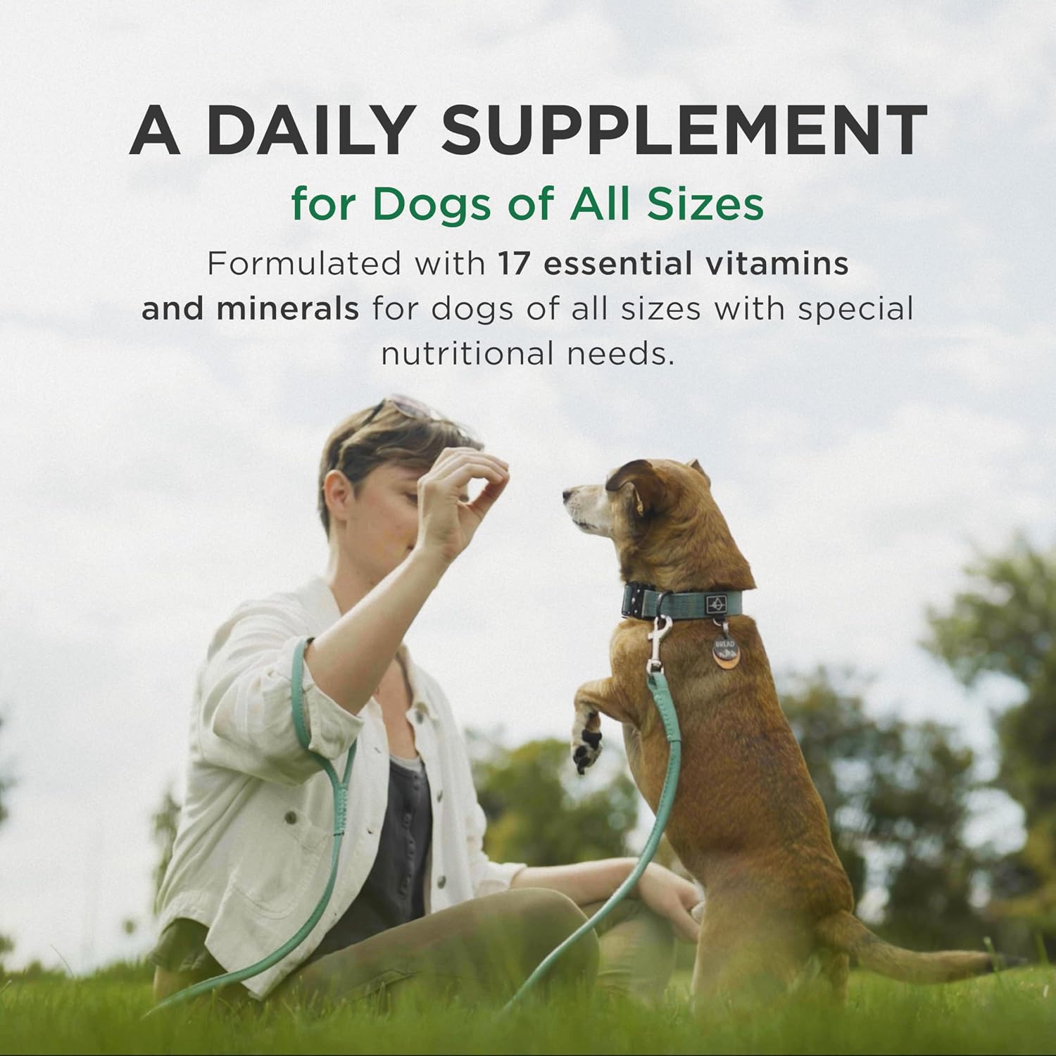 Pet-Tabs Multivitamin and Mineral Supplement for Dogs, Chewable Tablets, 60 Count - görsel 3