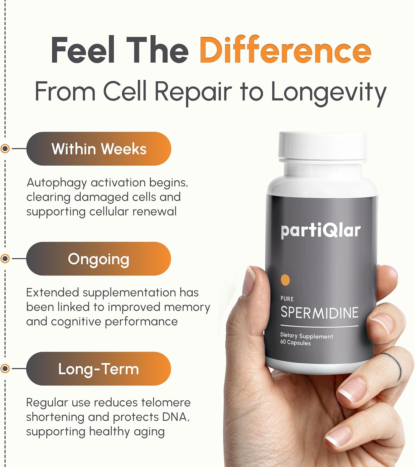 partiQlar Spermidine Supplement – 8mg, 60 Veggie Capsules - görsel 5