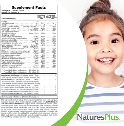 NaturesPlus Animal Parade Gold Children's Multivitamin - Assorted Cherry, Orange & Grape Flavours - 60 Chewable Tablets, Pack of 2 - Vegetarian, Gluten-free - 60 Total Servings
