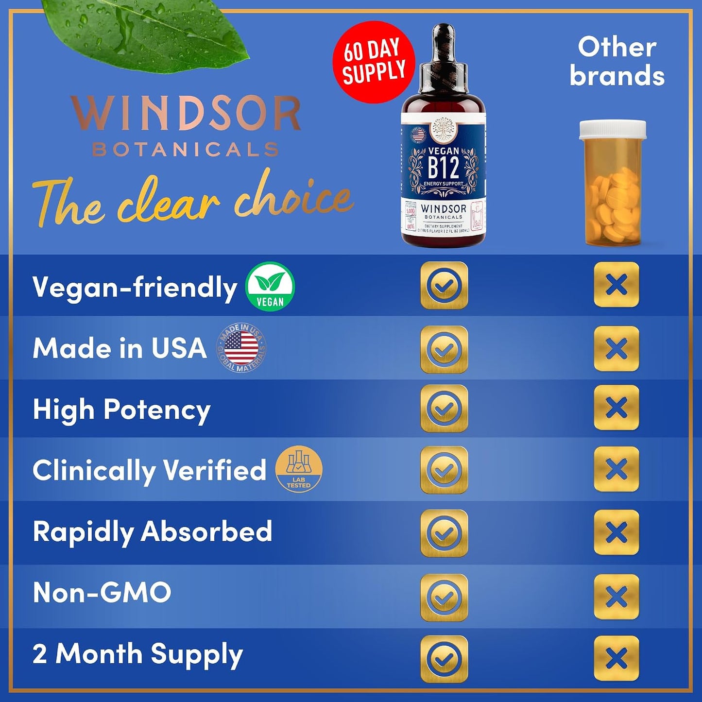 WINDSOR BOTANICALS Vegan Vitamin B12 Liquid – Max Strength 5000 mcg Methylcobalamin Sublingual Drops – Citrus Flavour - görsel 6