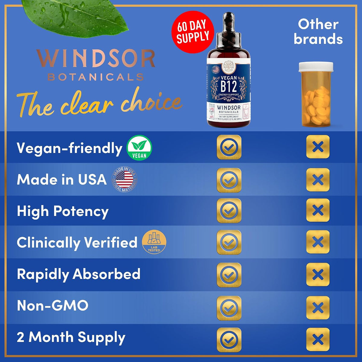 WINDSOR BOTANICALS Vegan Vitamin B12 Liquid – Max Strength 5000 mcg Methylcobalamin Sublingual Drops – Citrus Flavour - görsel 6