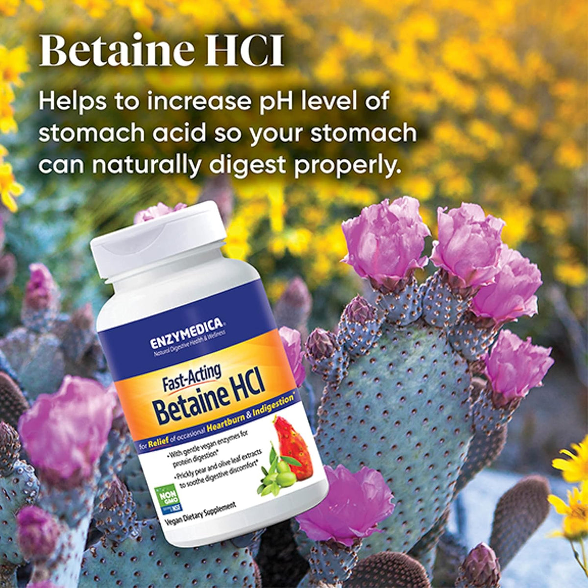 Enzymedica Betaine HCl for Men & Women - Betaine Hydrochloric Acid Supplement with Protease Enzymes, 120 Capsules - görsel 5
