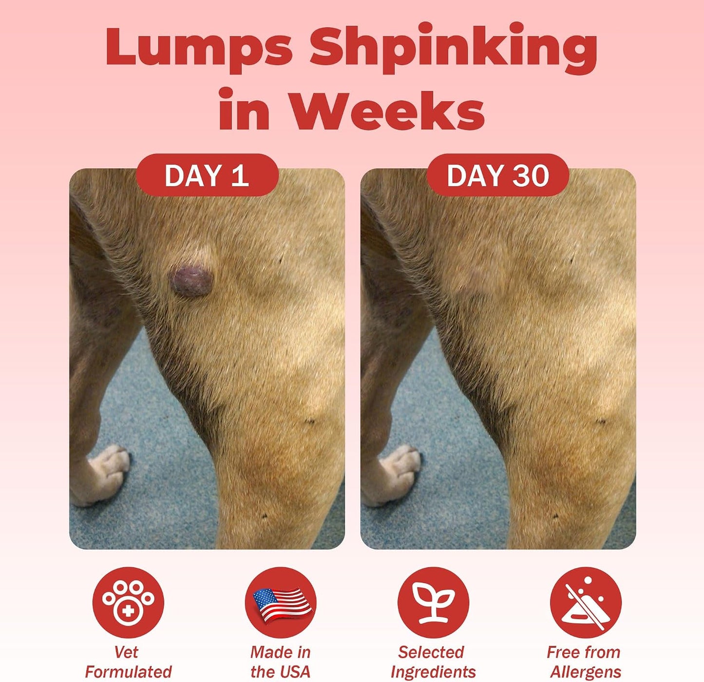 VivaElixir Dog Lumps and Bumps Supplement - Immune Support Chews with Turkey Tail Mushroom, Reishi, Shiitake, Maitake, Curcumin & CoQ10 - Veterinary Formulated - 150 Chews - görsel 2