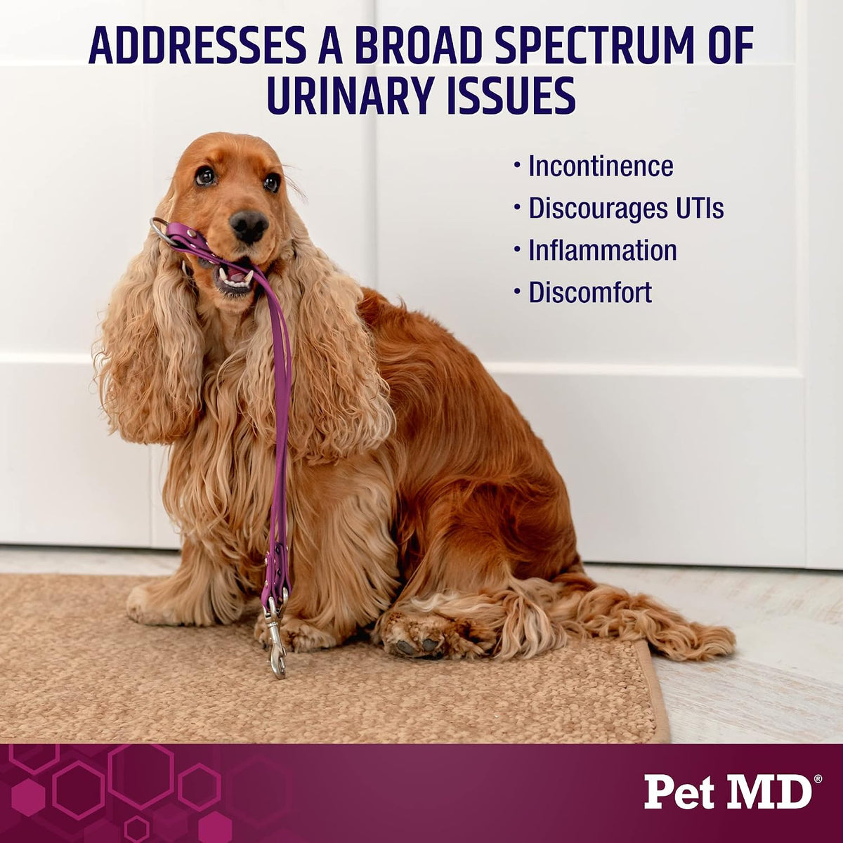 Pet MD Bladder Support Plus Cranberry for Dogs – 60 Soft Chews - görsel 2