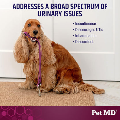 Pet MD Bladder Support Plus Cranberry for Dogs – 60 Soft Chews