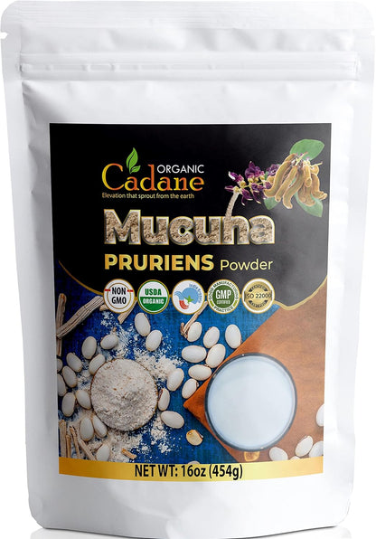 Organic Cadane Mucuna Pruriens Powder - 454g (1lb) - Certified Organic, Vegan & Non-GMO