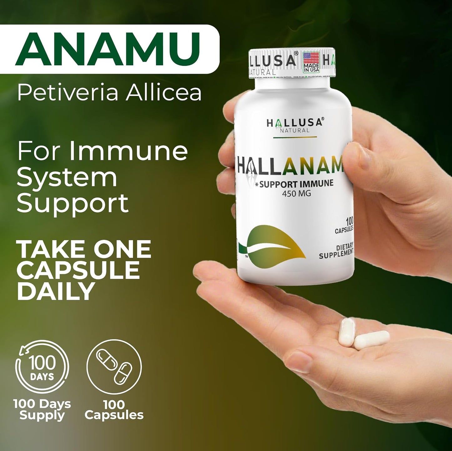 Hallusa Natural Anamu Root 450 mg – Petiveria Alliacea – Organic Anamu Capsules – Immune & Energy Support – 100 Capsules - görsel 4