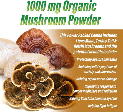 Myogenix MyoVite Super Greens Food Supplement Powder - Organic Super Greens, 30 Servings