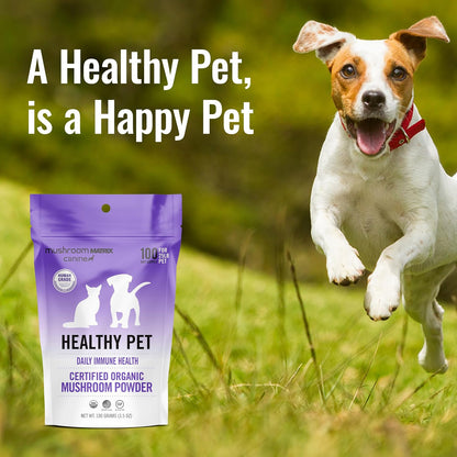 Mushroom Matrix Canine Organic Mushroom Powder – Daily Immune Support for Dogs and Cats (100g)