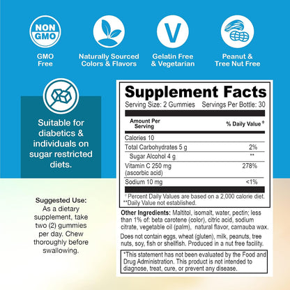Yum-Vs Zero Sugar Vitamin C Gummies – 250 mg – 60 Count