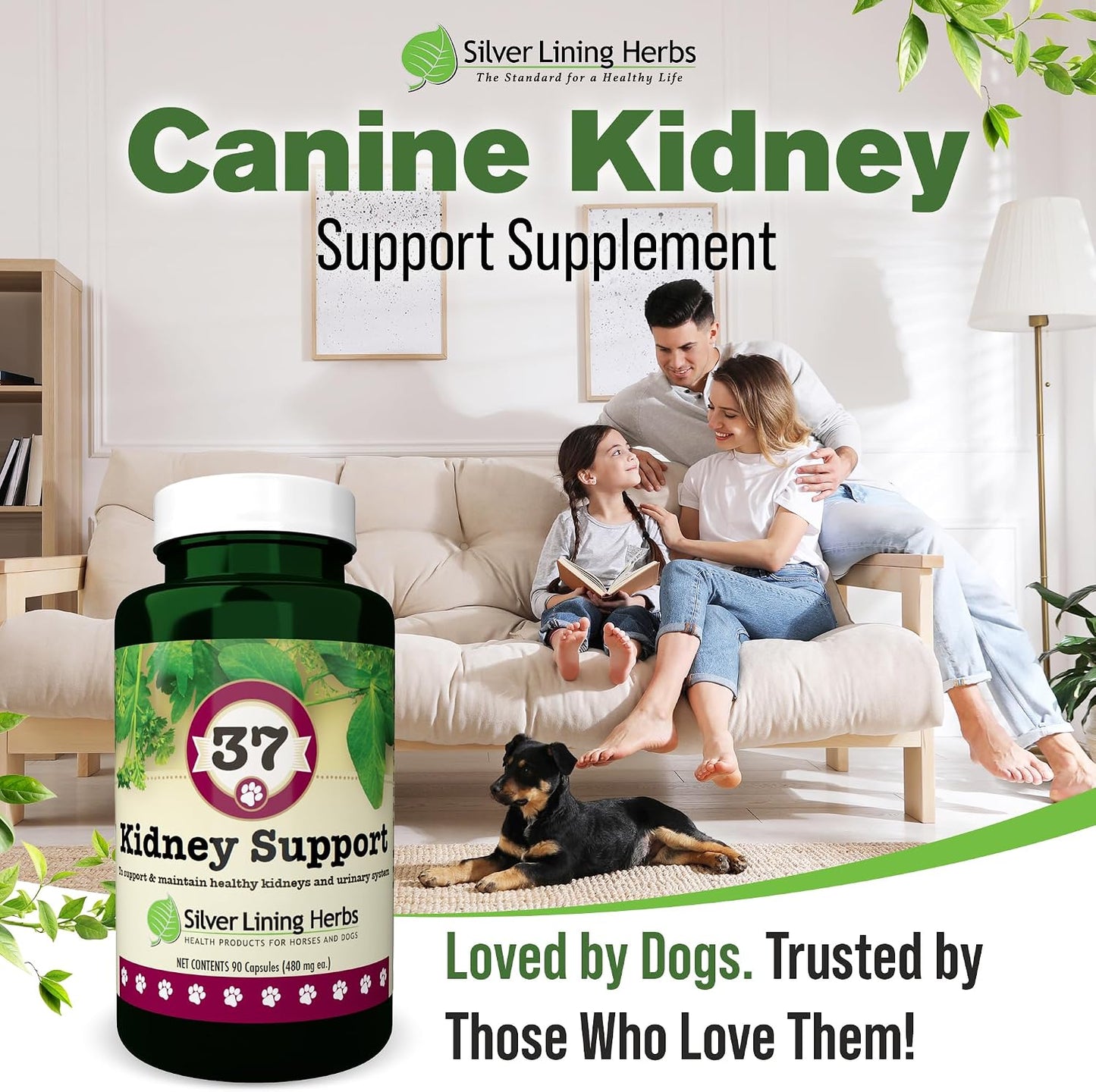 Kidney Support for Dogs – Natural Herbal Canine Kidney Cleanse & Bladder Support Supplement with Cranberry & Astragalus – 90 Capsules - görsel 6