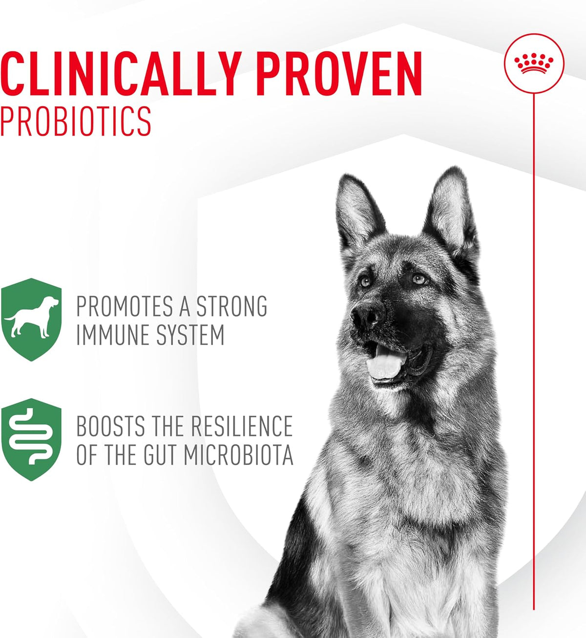 Royal Canin Probiotics for Dogs Digestive and Immune Health Powder Supplement for Dogs of All Ages, 7 Count - görsel 2