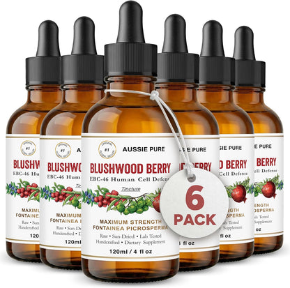 Blushwood Berry EBC-46 Maximum Strength Immune and Cell Support Tincture – Alcohol-Free Glycerine Formula – 6 x 120ml Bottles