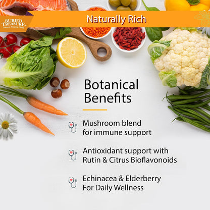 Buried Treasure Adult Daily Immune Wellness - Liquid Nutrient Blend with Elderberry and Echinacea
