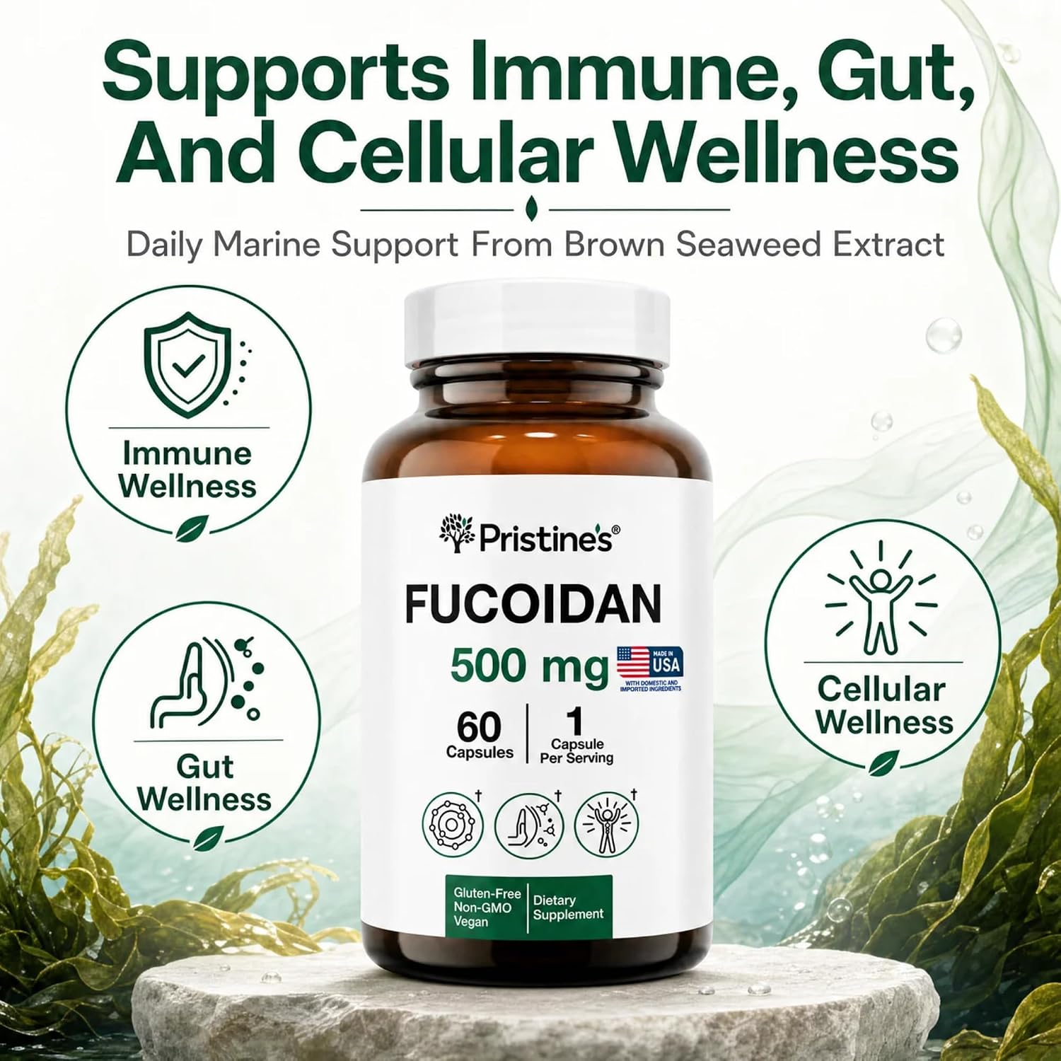 PRISTINE'S Fucoidan 500 mg Food Supplement Capsules – 60-Day Supply – Brown Seaweed Extract – Herbal Antioxidant for Respiratory and Skin Health Support - görsel 4