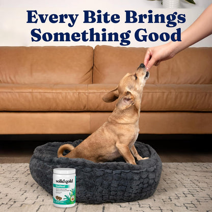Solid Gold SeaMeal Cat & Dog Multivitamin Chews - Kelp, Omega-3 & Vitamins for Dental, Digestive, Immune, Skin & Coat Health - Multivitamin for Dogs & Cats - Sea Kelp Based Soft Chew for All Ages - 120ct