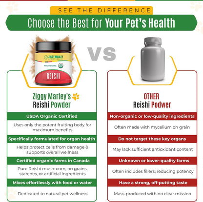 Ziggy Marley's USDA Organic Reishi Mushroom Powder for Dogs & Cats – Fruiting Body Extract, 90g