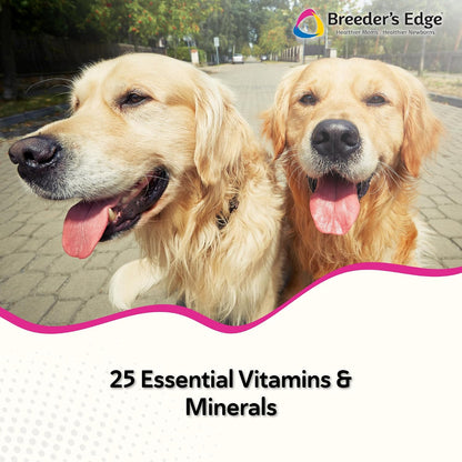 Breeder’s Edge Breed to Wean Prenatal and – Essential Vitamins and Minerals: 25 important nutrients that may help – Image 2