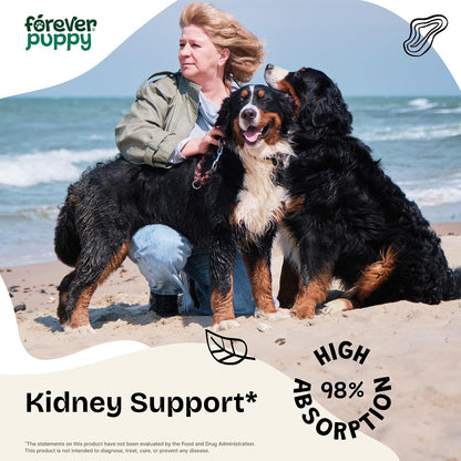 Forever Puppy Kidney Support Drops for Dogs - Cordyceps, Astragalus & Red Sage - Sugar & Alcohol-Free Tincture (59 ml)