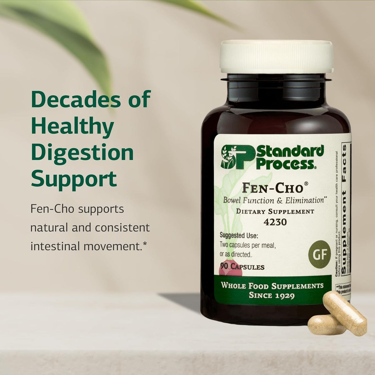 Standard Process Fen-Cho – Digestive & Gut Health Supplement – Gluten-free, Dairy-free, Soya Free – 90 Capsules - görsel 3