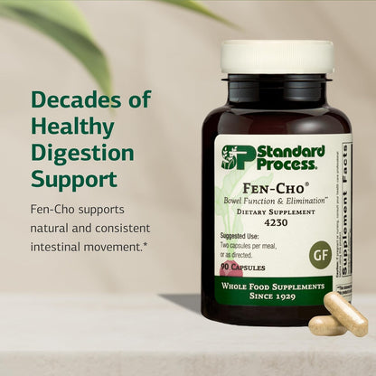 Standard Process Fen-Cho – Digestive & Gut Health Supplement – Gluten-free, Dairy-free, Soya Free – 90 Capsules