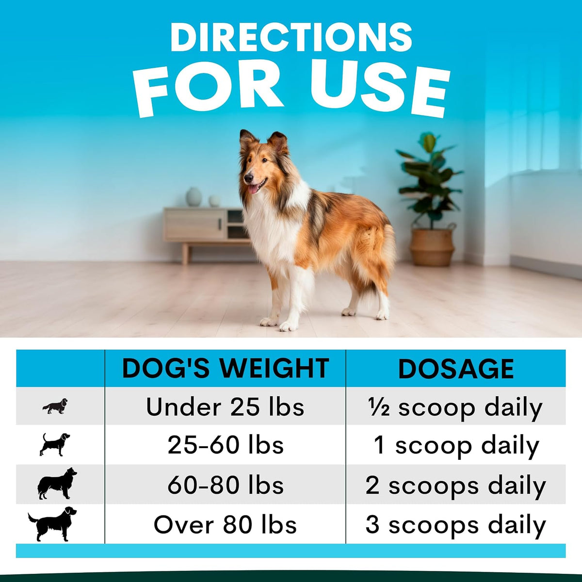 Petz Park Dog Skin and Coat Supplement – 90 Scoops, Omega‑3 for Dogs - görsel 5