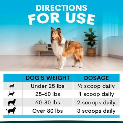 Petz Park Dog Skin and Coat Supplement – 90 Scoops, Omega‑3 for Dogs