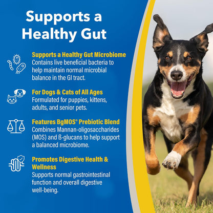 Doc Roy’s GI Synbiotics Probiotic & Prebiotic Supplementary Gel for Dogs & Cats, Chicken Flavour, 15 ml