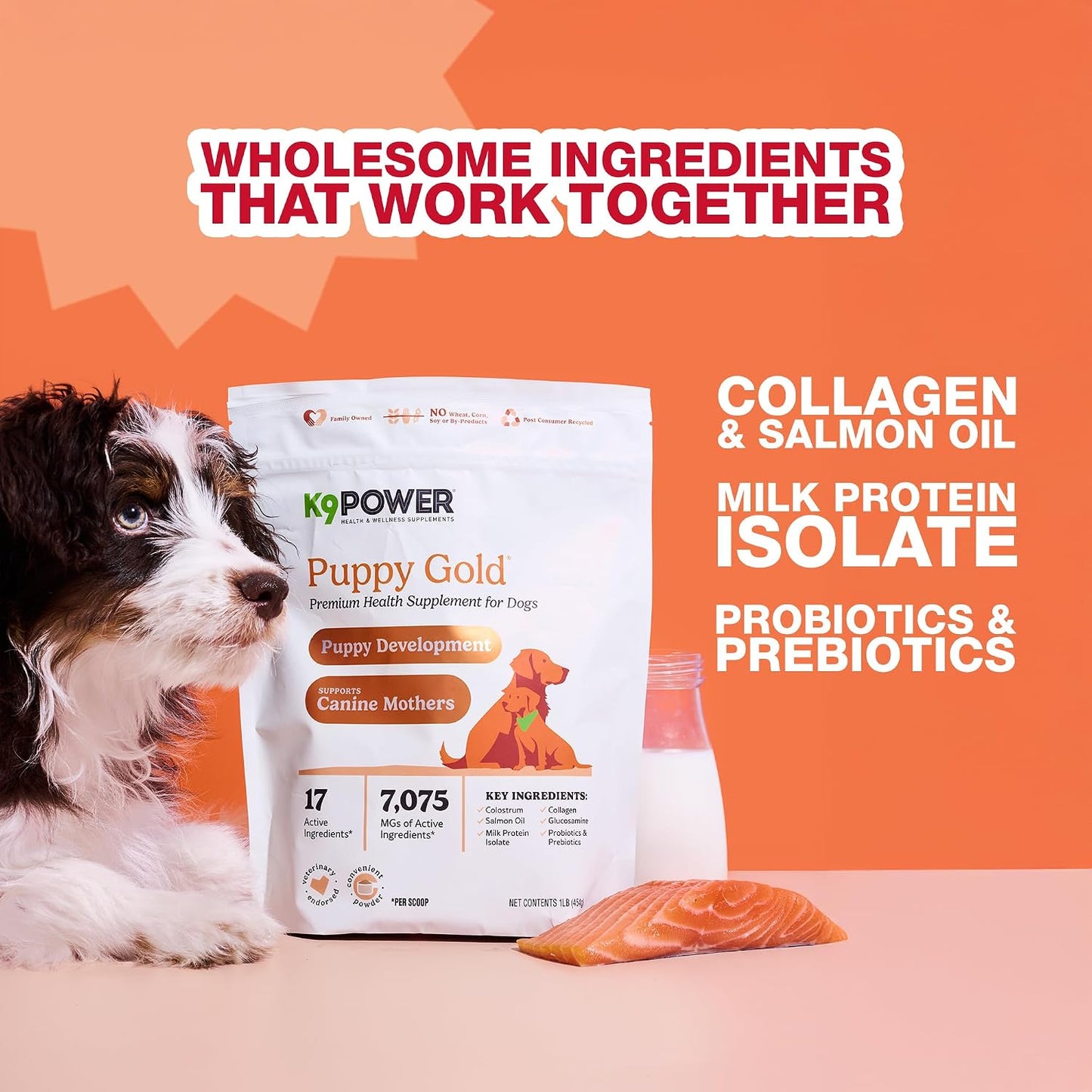 K9Power Puppy Gold 3lb – Puppy Supplement for Growth & Development – Also Supports Pregnant & Nursing Mothers – Colostrum, DHA, Glucosamine, Collagen, Probiotics, Creatine, Milk Protein, Salmon Oil - görsel 6