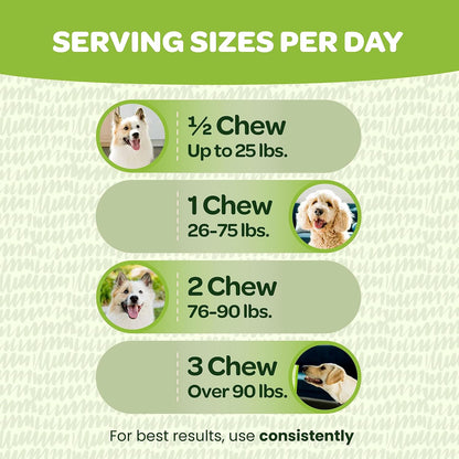 Ready Pet Go! Probiotic Chews for Dogs – Gut Health & Digestive Support with Pumpkin and Enzymes, 90 Count