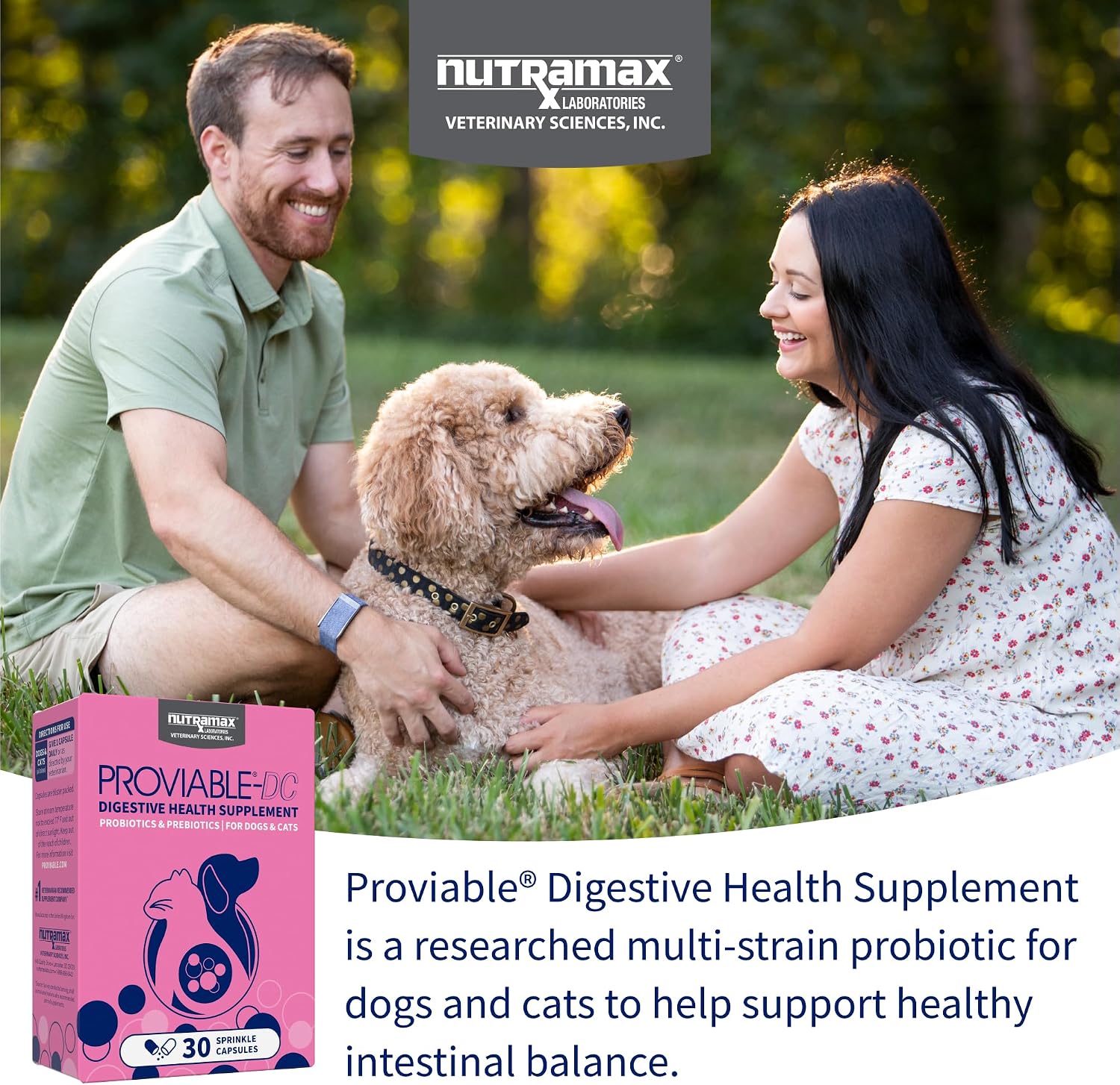 Nutramax Proviable Probiotics for Dogs and Cats – Daily Digestive Health Supplement, 30 Capsules - görsel 3