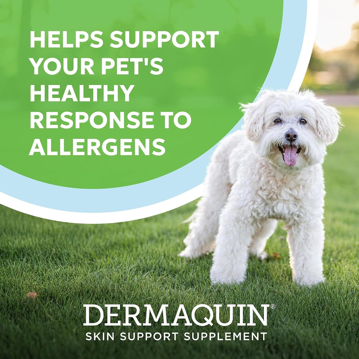Nutramax Dermaquin Skin Support Supplement for Dogs and Cats - with Hardy Kiwi & Omega-3s, 60 Soft Chews - görsel 2