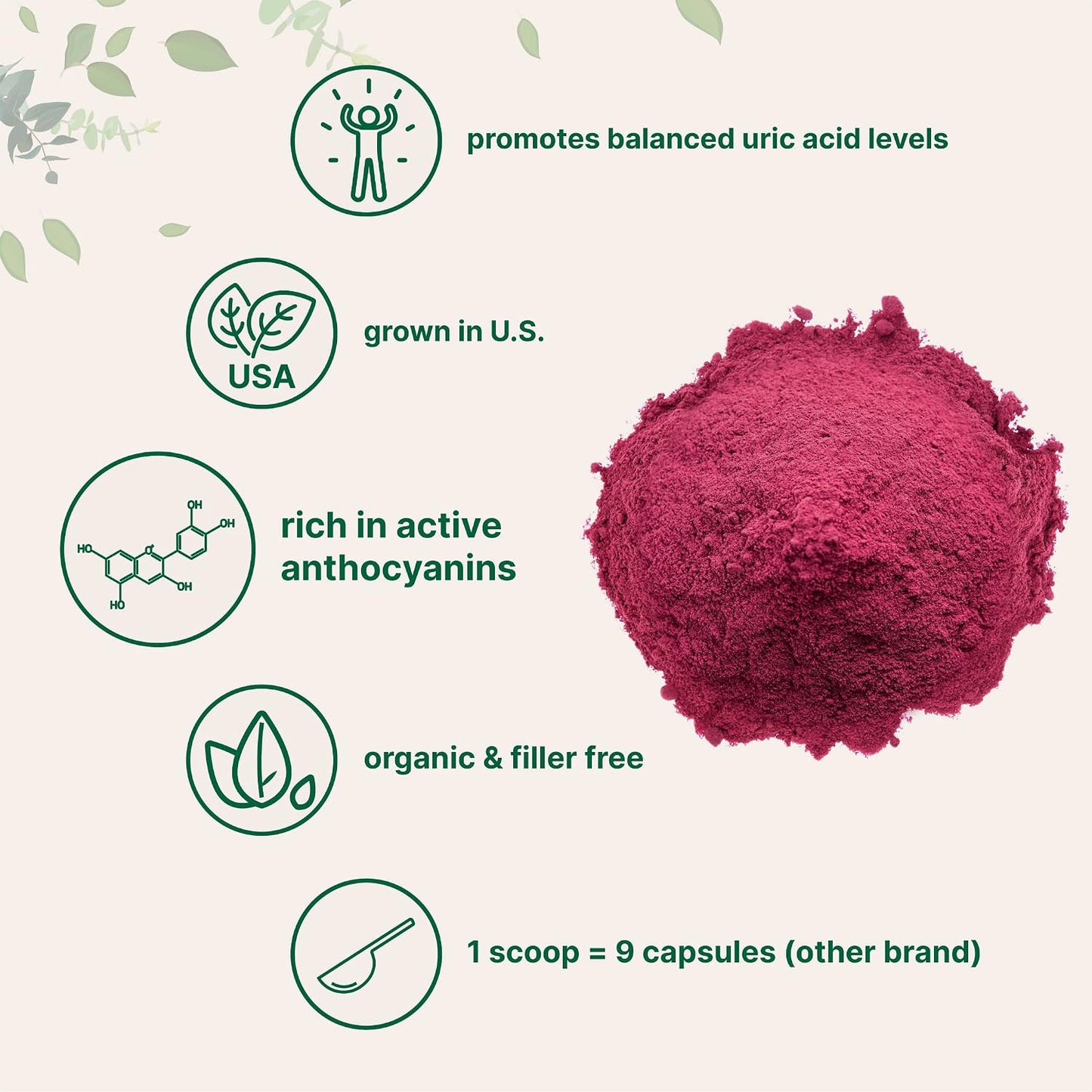 Micro Ingredients Organic Tart Cherry Powder, 4oz - görsel 3
