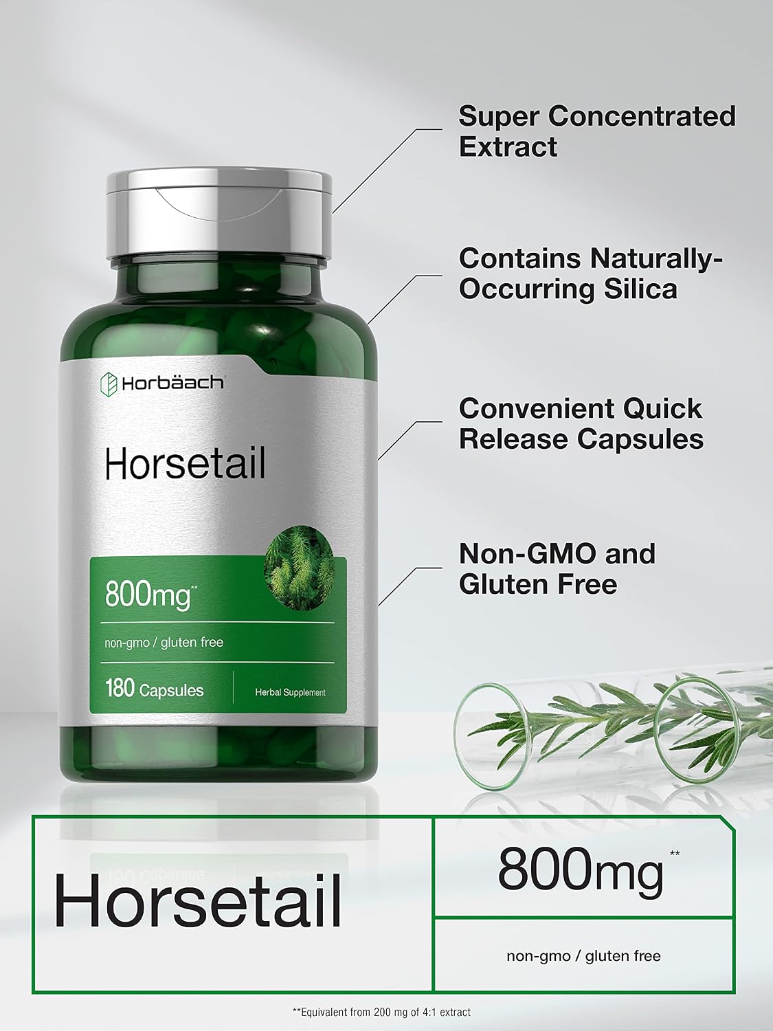 Horbäach Horsetail Supplement | 180 Capsules | Traditional Herbal Extract | Non-GMO & Gluten-free - görsel 3