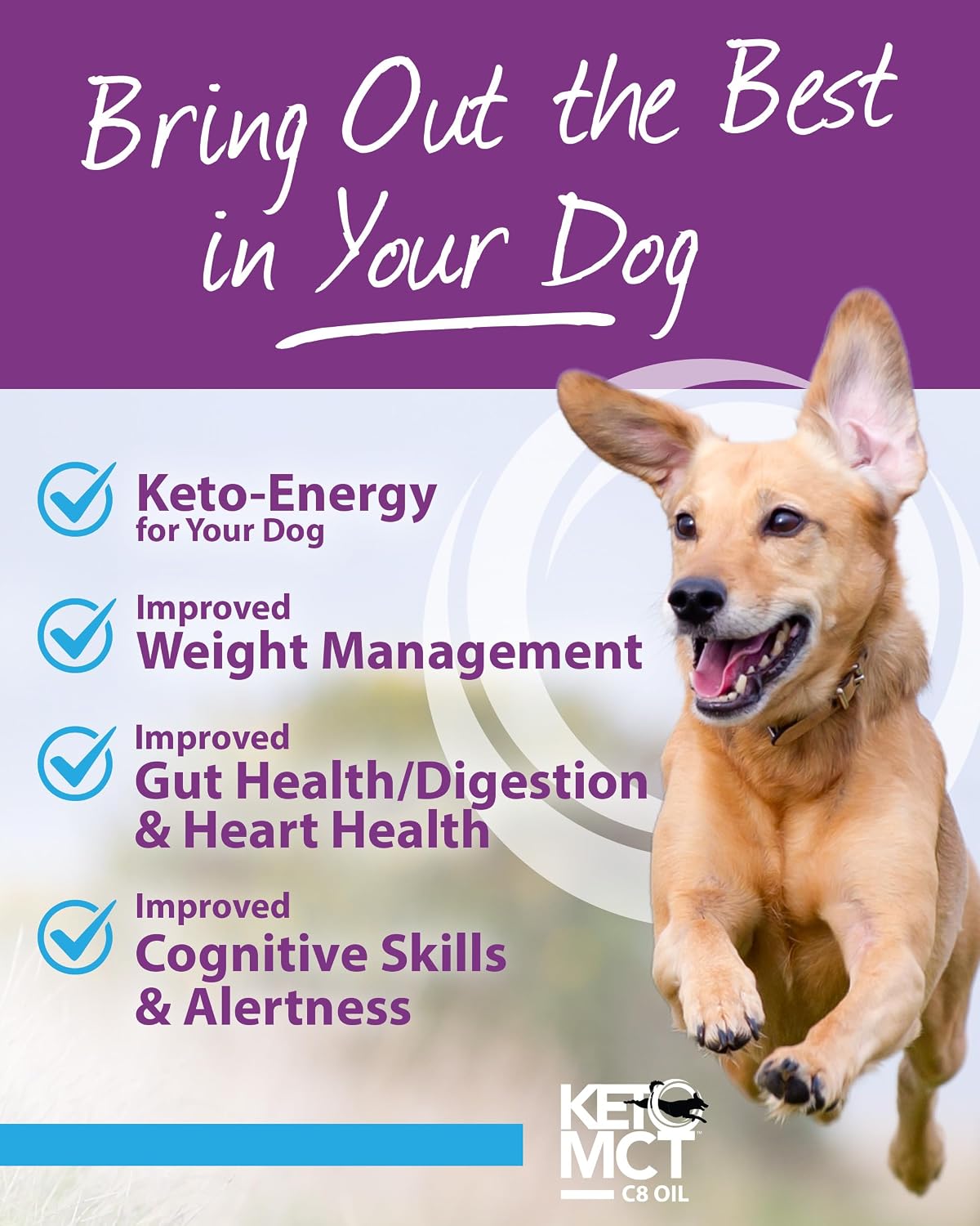 LifeSense C8 MCT Oil for Dogs | Sourced from Coconut Oil | Optimal Fuel for Your Dog’s Brain and Body | Human-Grade | Non-GMO | Keto-Friendly | Made in the USA by PhD Nutrition, 946 ml - görsel 4