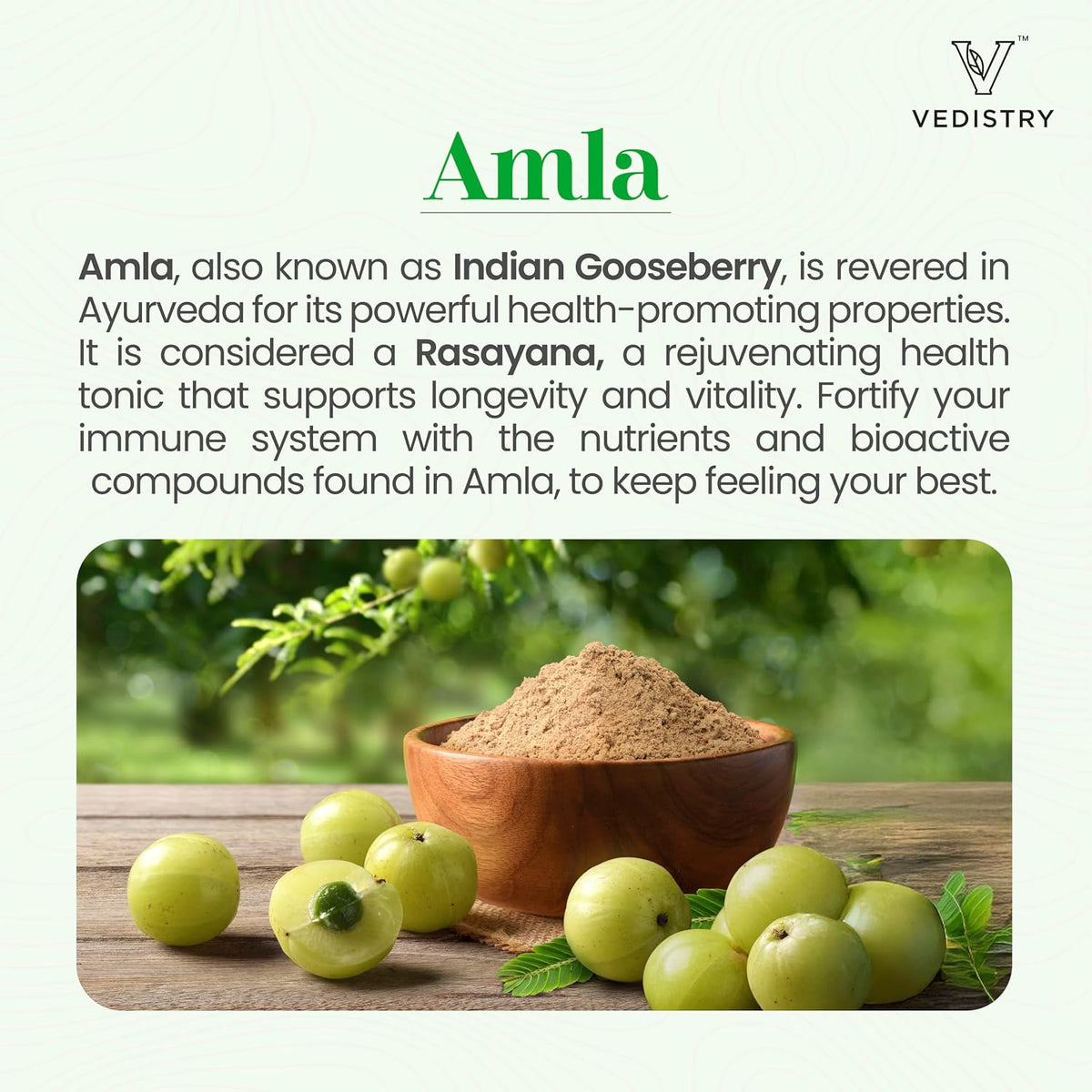 Vedistry Amla Supplement 1100mg - Indian Gooseberry with Long Pepper for Immunity & Energy - 60 Tablets - görsel 2