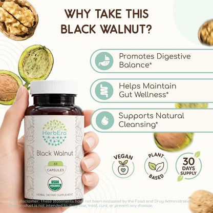 HerbEra Black Walnut 500 mg | Organic Vegan Capsules | Traditional Digestive & Antioxidant Support, Juglans Nigra Dried Hull | Herbal Supplement (60 Capsules)