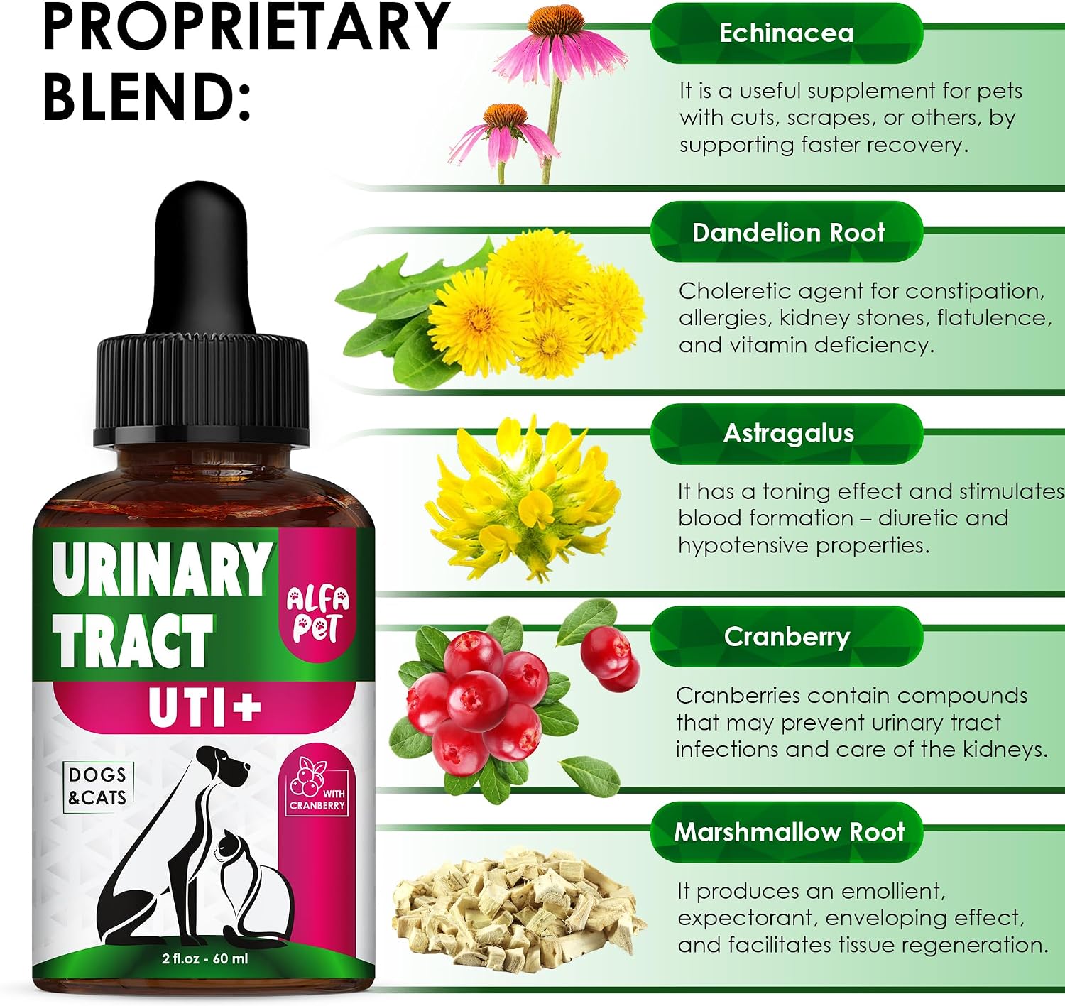 Cat and Dog Urinary Tract Support with Cranberry – Bladder and Kidney Health Drops – 60 ml - görsel 3