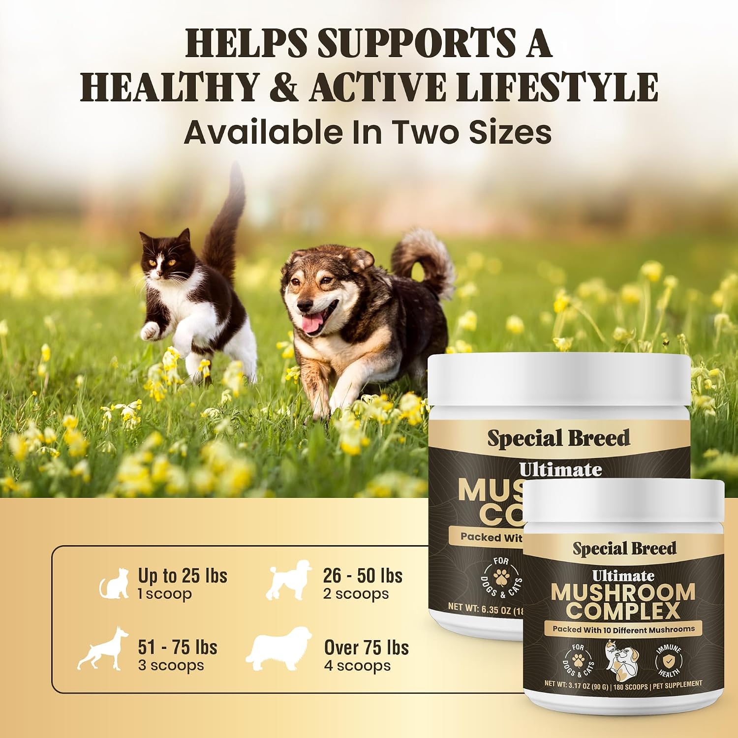 Organic Mushroom Powder for Dogs and Cats - Organic Mushroom Complex for Immune Support, Cognition and Vitality - 180 Scoops - görsel 6
