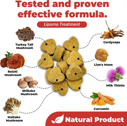 VivaElixir Dog Lumps and Bumps Supplement - Immune Support Chews with Turkey Tail Mushroom, Reishi, Shiitake, Maitake, Curcumin & CoQ10 - Veterinary Formulated - 150 Chews