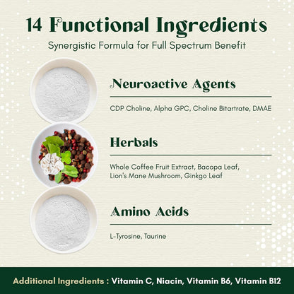 Alpha Focus Nootropic - Memory & Focus Brain Supplement with Choline, Citicoline, GPC, L-Tyrosine, Bacopa, Lion's Mane & More - 60 Capsules