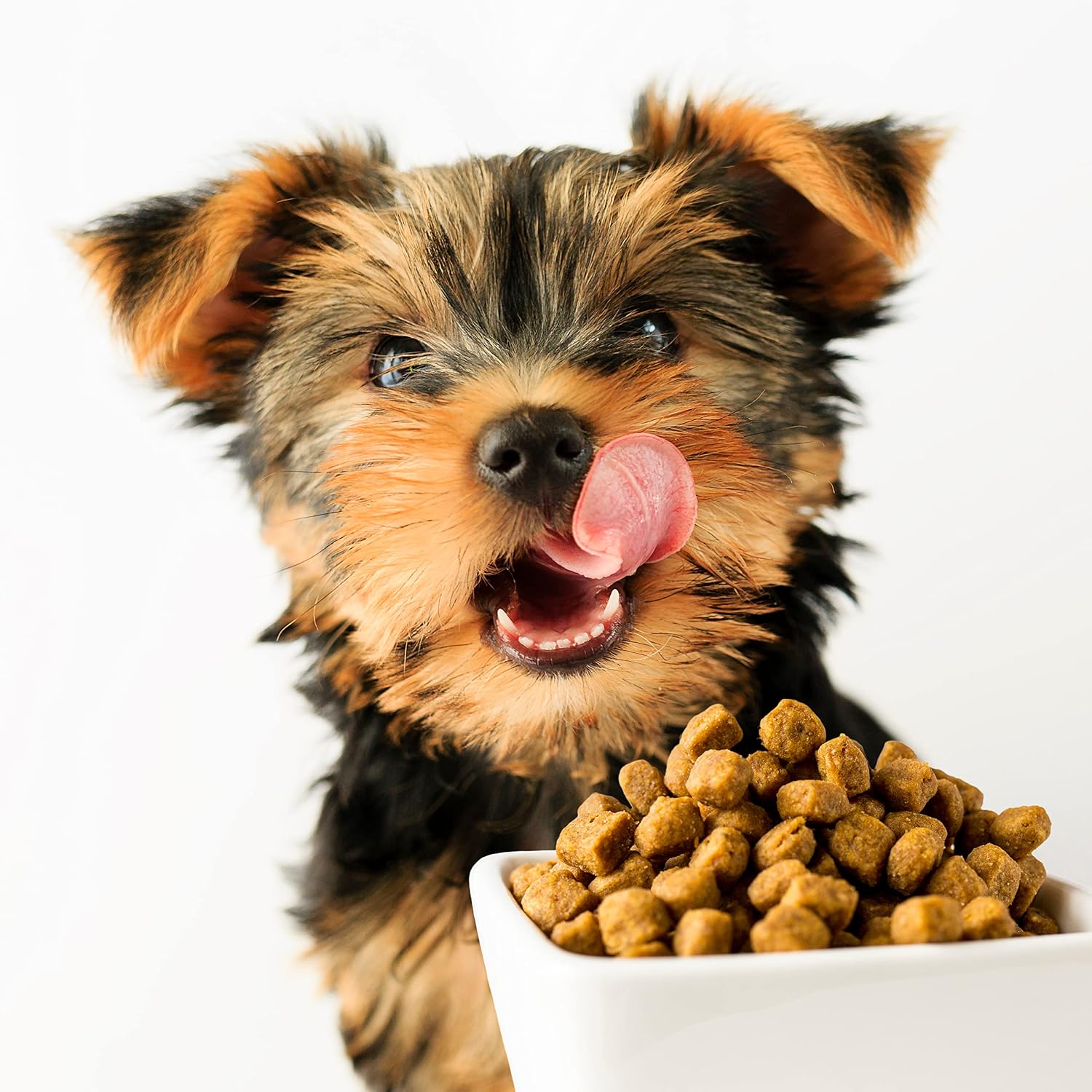 Pooch Nooch XL Premium Nutritional Yeast Flakes Dog Food Topper – 213g - görsel 5